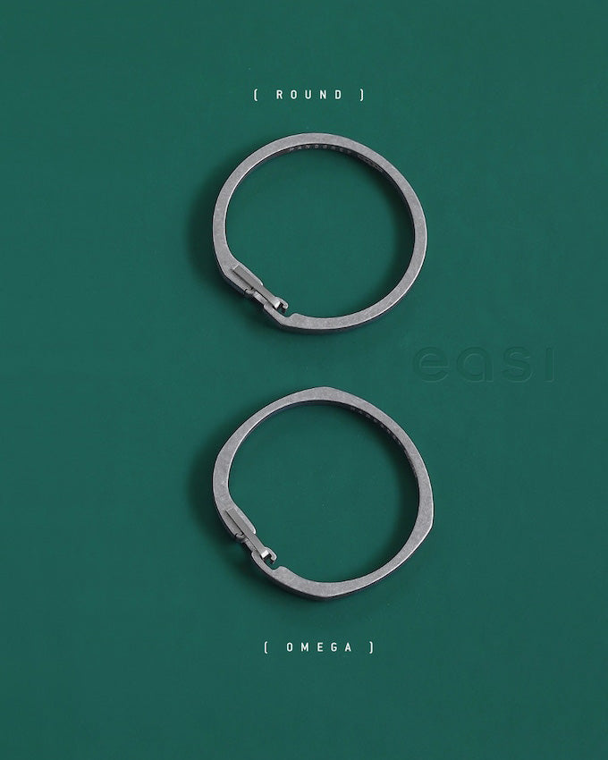 EASI Titanium Keyring (2 pack)